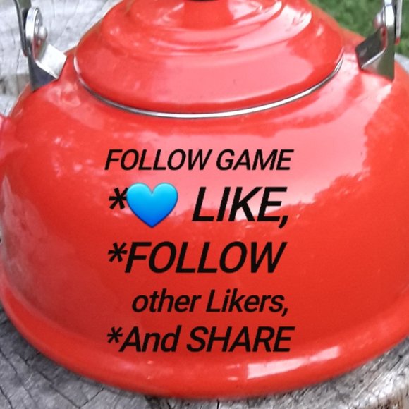 FoLloW GaMe to Like Share Follow Others and or Tag - Picture 1 of 4